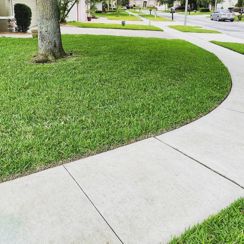 Professional landscape design in Orlando, FL by Two C’s Landscaping