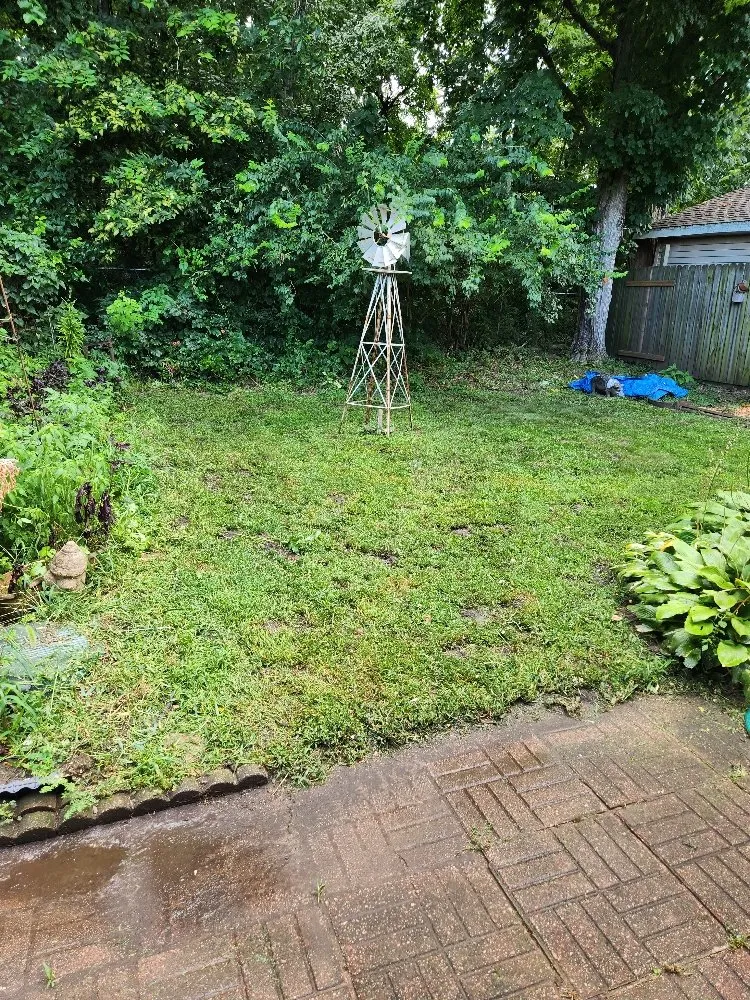 Expert yard maintenance experts serving Pekin, IL - Two Dudes & A Mower