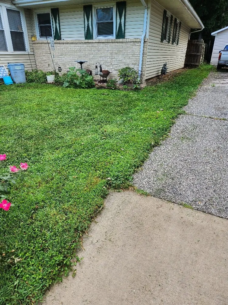 Reliable yard cleanup service with custom design across Pekin, IL - Two Dudes & A Mower