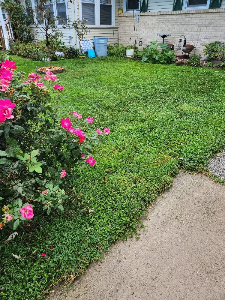 Expert landscape installation near you in Pekin, IL by Two Dudes & A Mower