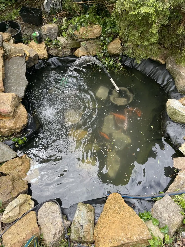 Affordable lawn care service in Louisville, KY - Two Fish