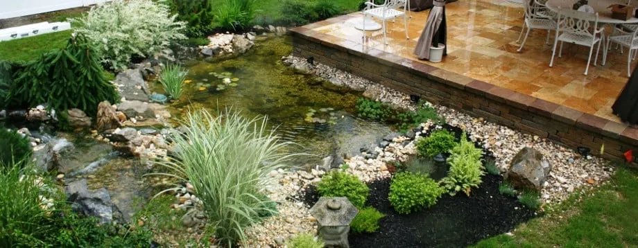 Expert lawn care service for homes across Louisville, KY - Two Fish