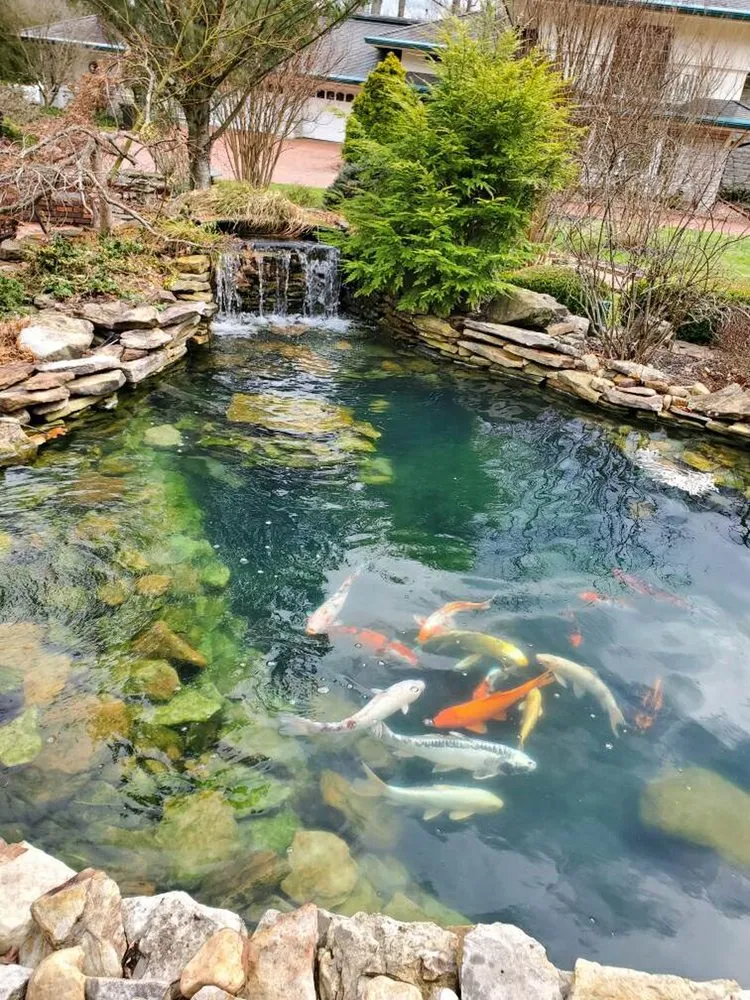 Affordable landscape design in Louisville, KY - Two Fish