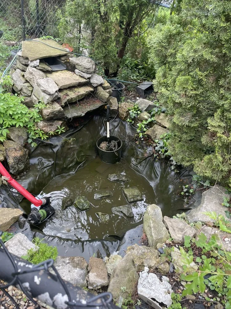 Professional yard cleanup service in Louisville, KY - Two Fish