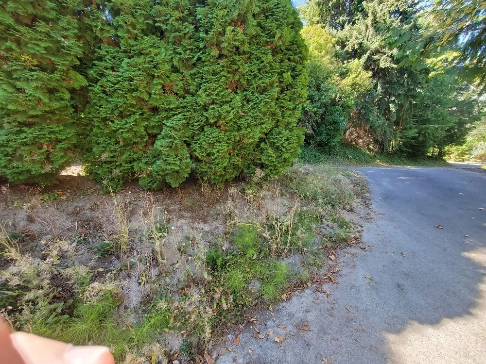 Professional garden landscaping for homes in Seatac, WA by Two Friends Landscaping