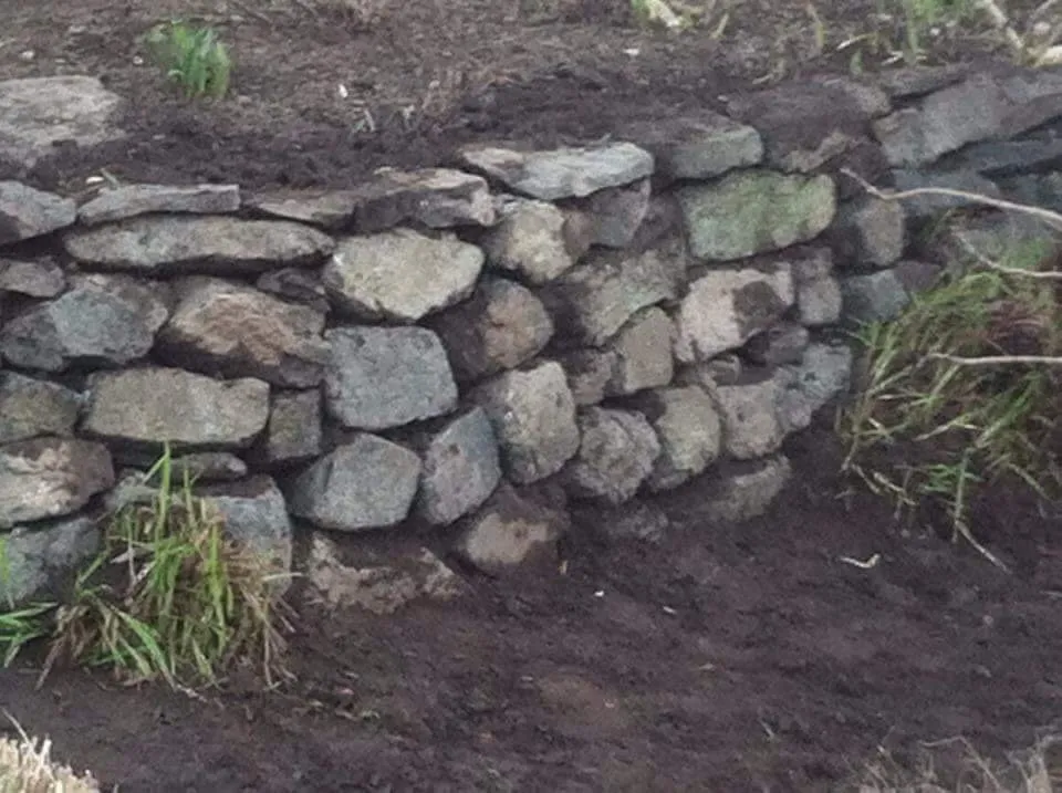 Reliable landscaping services for outdoor upgrades in Seatac, WA by Two Friends Landscaping