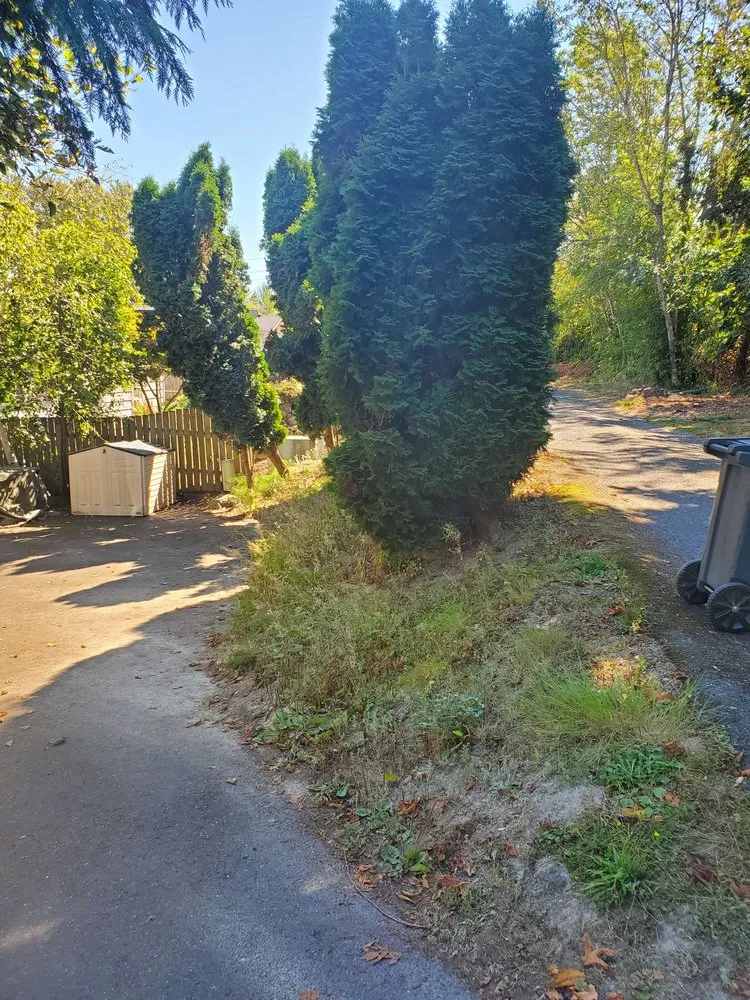 Custom garden landscaping in Seatac, WA by Two Friends Landscaping