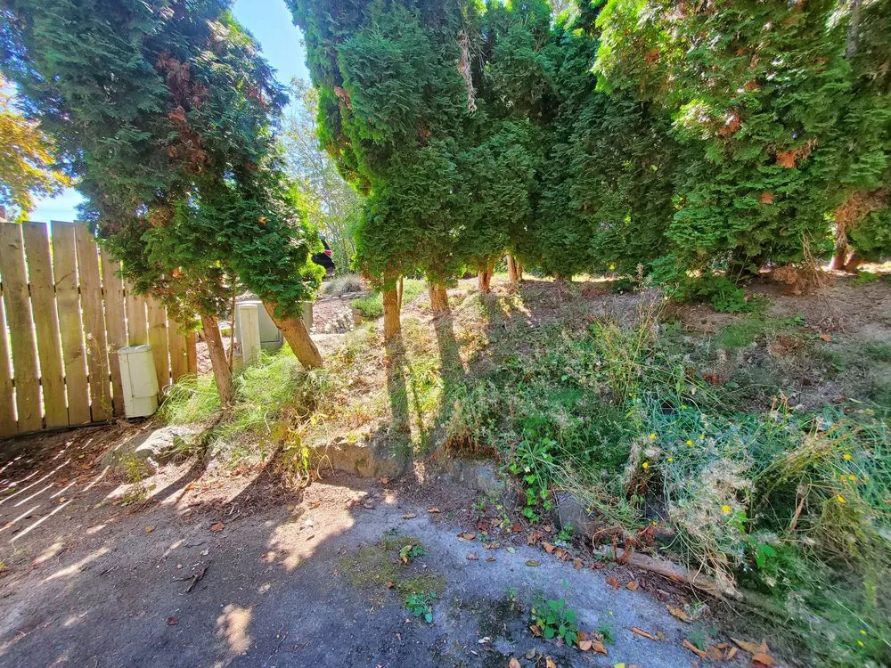 Custom yard maintenance experts serving Seatac, WA - Two Friends Landscaping