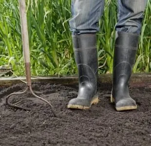 Reliable residential landscaping in Seatac, WA by Two Friends Landscaping