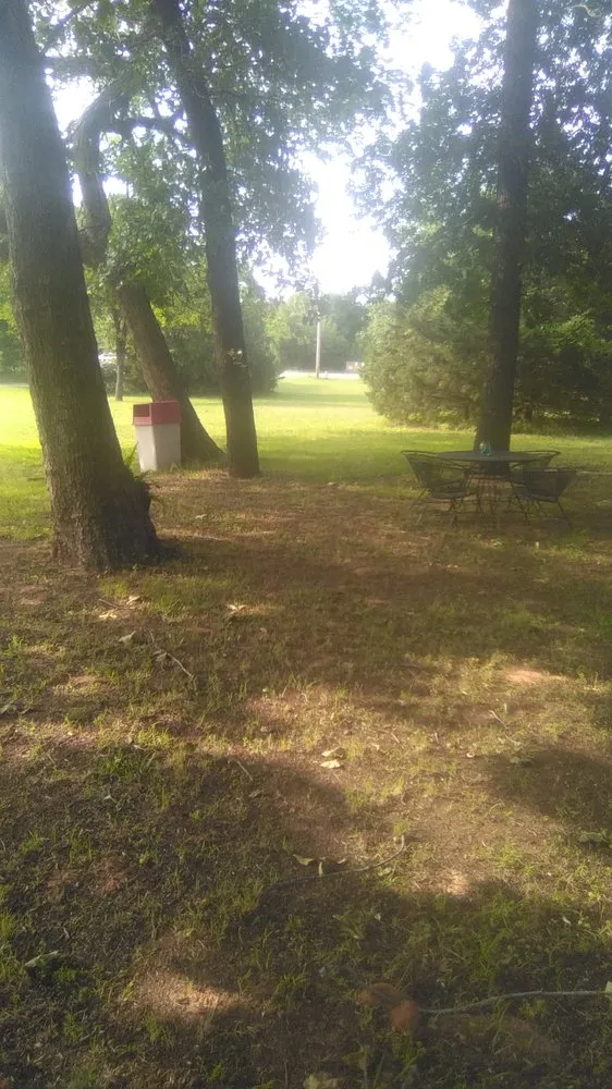 Trusted yard cleanup service in Oklahoma city, OK by Two Gals and A Guy