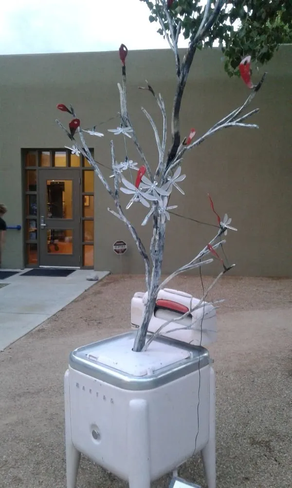 Professional yard maintenance in Albuquerque, NM - Two Guys & A Dolly