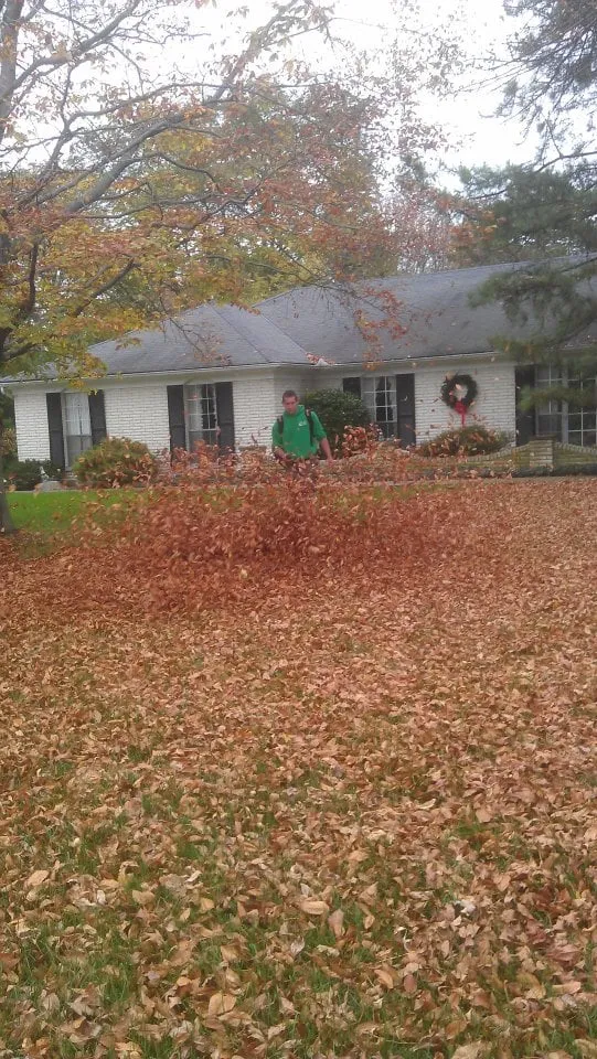 Trusted landscaping services for beautiful yards in Centerville, OH by Two Guys and a Mower