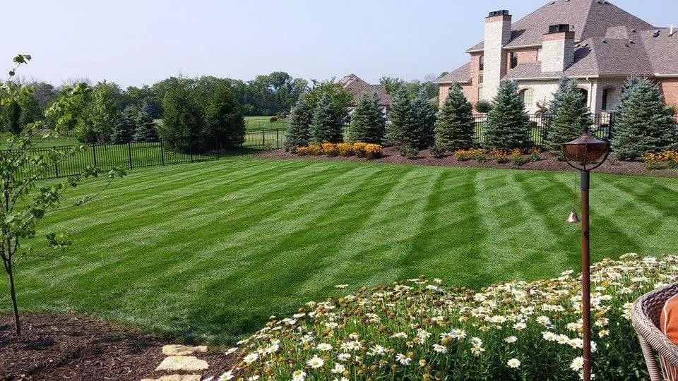 Expert yard cleanup service for residential properties across Centerville, OH - Two Guys and a Mower