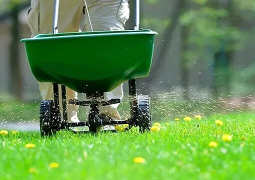 Top-rated garden landscaping for beautiful yards across Lakewood, WA - Two Guys and a Mower