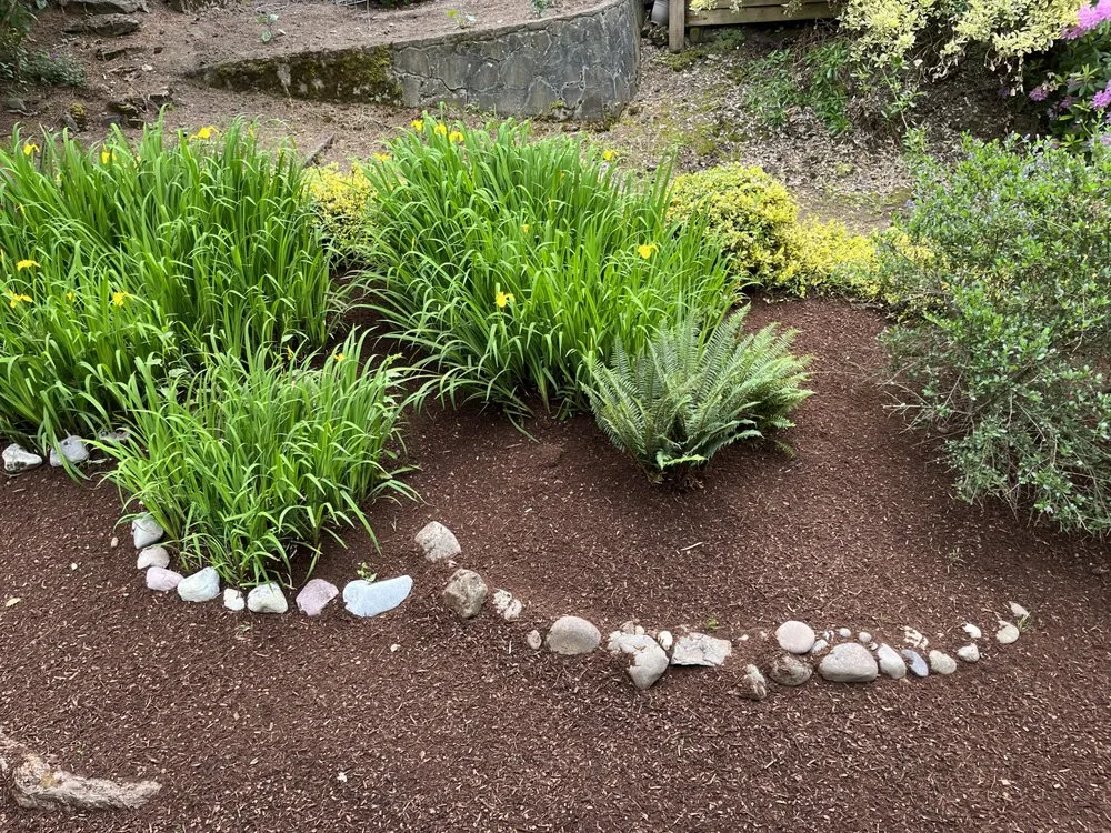 Reliable yard cleanup service in Dayton, OR by Two Guys Bark Blowing