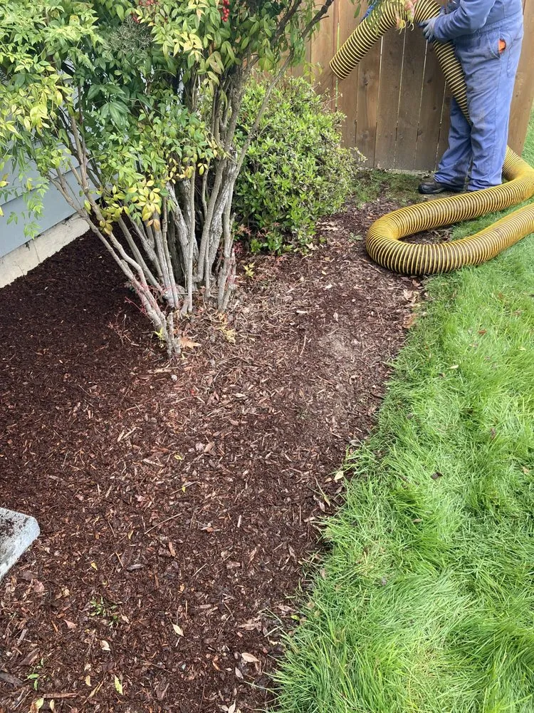 Expert lawn care service in Dayton, OR by Two Guys Bark Blowing