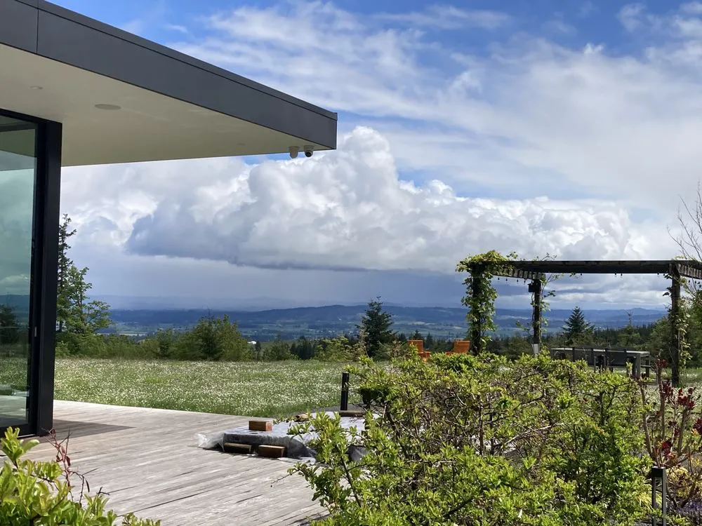 Expert yard cleanup service in Dayton, OR by Two Guys Bark Blowing