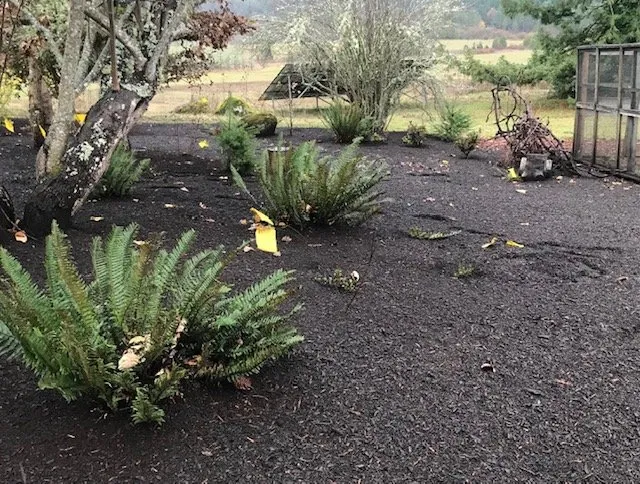 Professional landscape design in Dayton, OR - Two Guys Bark Blowing