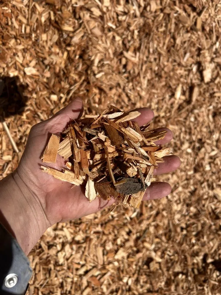 Top-rated lawn care service in Dayton, OR - Two Guys Bark Blowing