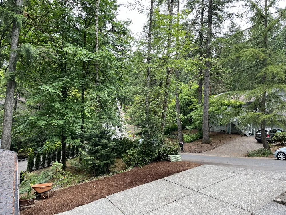 Expert landscaping services for homes in Dayton, OR by Two Guys Bark Blowing