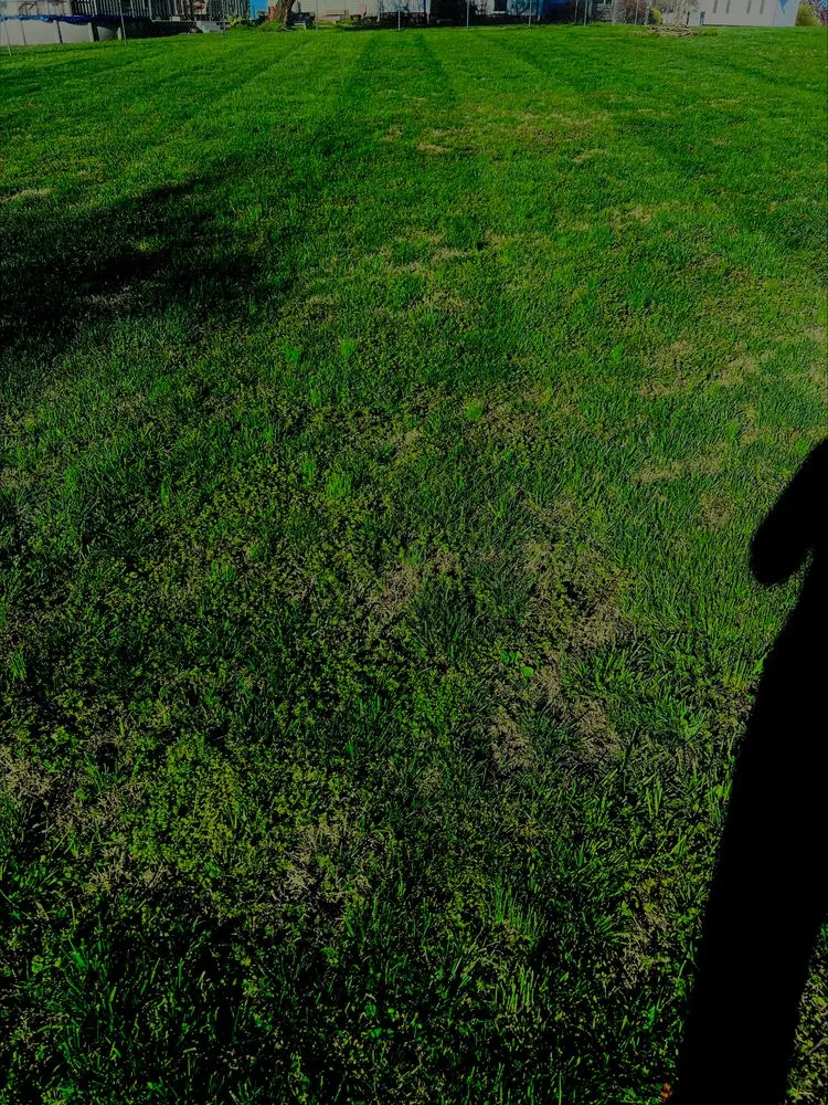 Trusted landscaping services for homes across Archdale, NC - Two Guys Landscaping