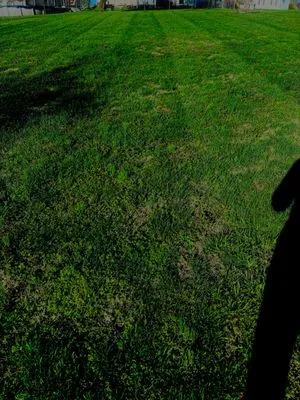 Two Guys Landscaping Logo