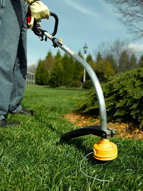 Custom yard cleanup service in Burbank, IL by Two guys landscaping
