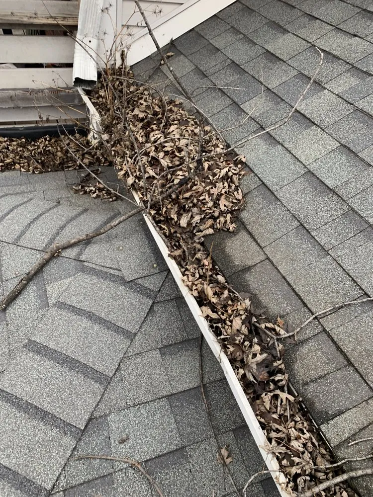 Affordable lawn care service in Indianapolis, IN by Two Guys Lawn and Landscaping Services