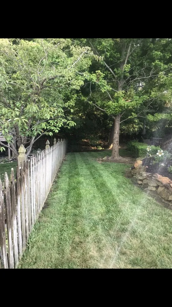 Affordable lawn care service experts serving Indianapolis, IN - Two Guys Lawn and Landscaping Services