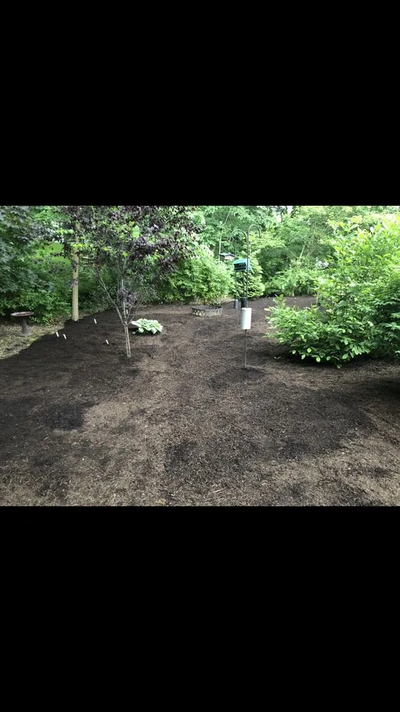 Affordable landscape design in Indianapolis, IN by Two Guys Lawn and Landscaping Services