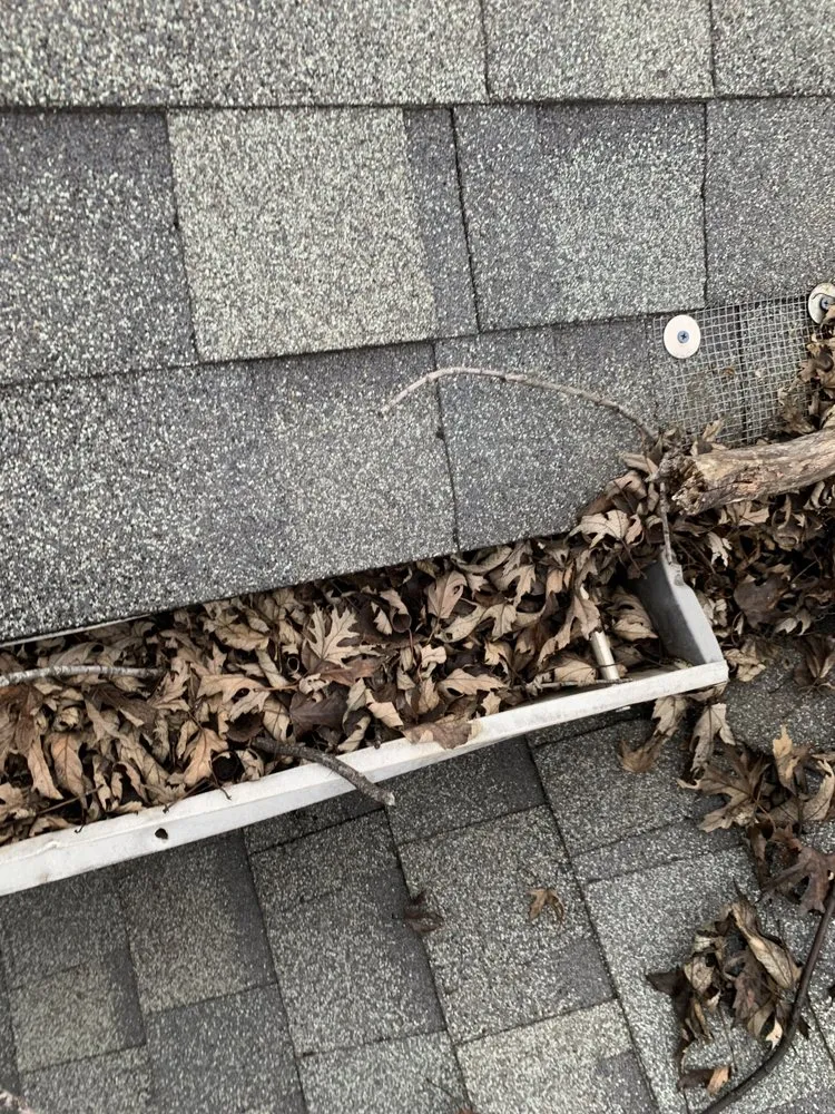 Professional residential landscaping for outdoor upgrades in Indianapolis, IN by Two Guys Lawn and Landscaping Services