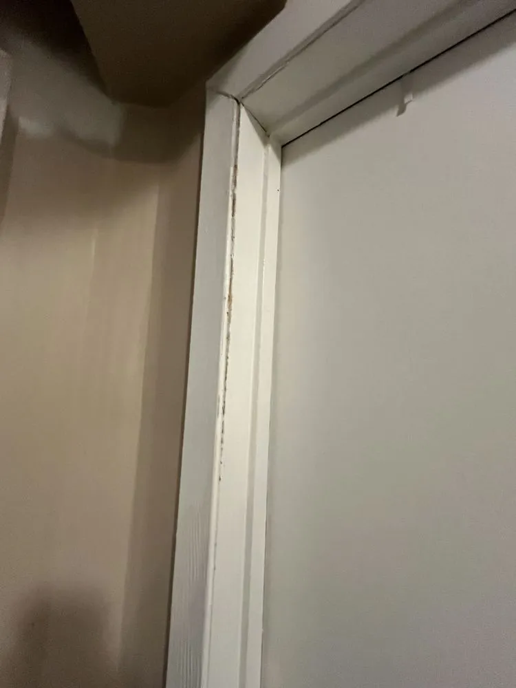 Local landscaping services for residential properties in Staten Island, NY by Two Guys Solutions