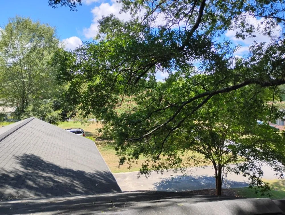 Reliable outdoor landscaping in Camden, SC - Two Hoes And A Shovel