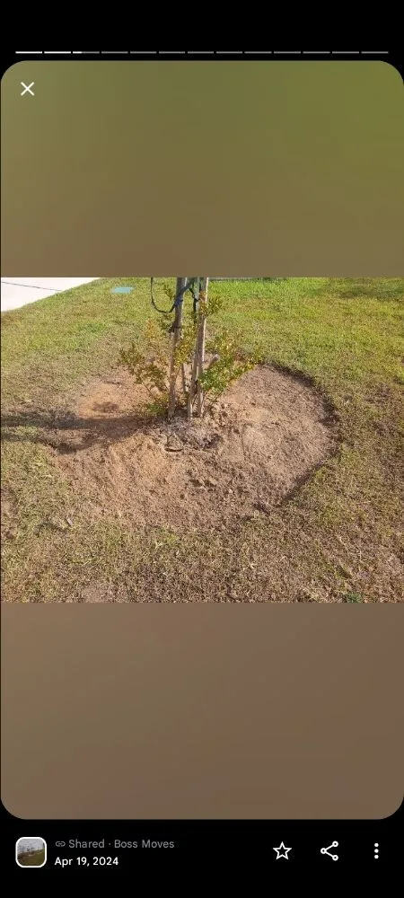 Reliable residential landscaping in Camden, SC - Two Hoes And A Shovel