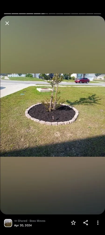 Professional landscaping services experts serving Camden, SC - Two Hoes And A Shovel