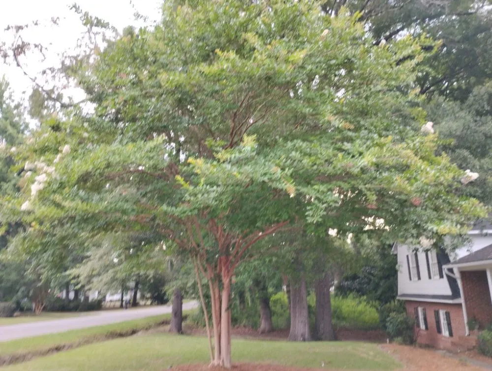 Trusted garden landscaping experts serving Camden, SC - Two Hoes And A Shovel