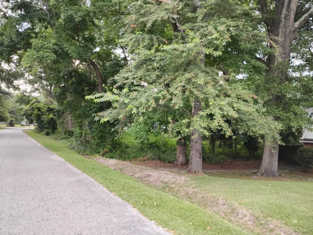 Trusted landscape installation in Camden, SC - Two Hoes And A Shovel