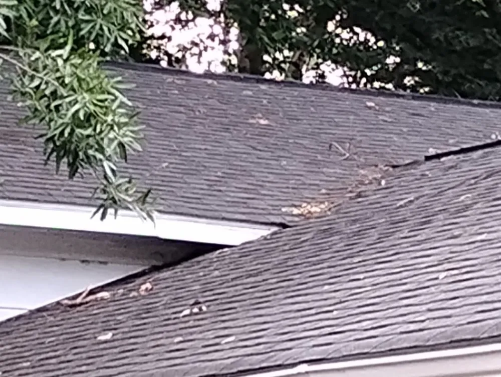 Custom lawn mowing service with custom design across Camden, SC - Two Hoes And A Shovel