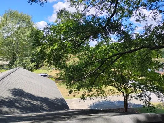 Two Hoes And A Shovel Logo