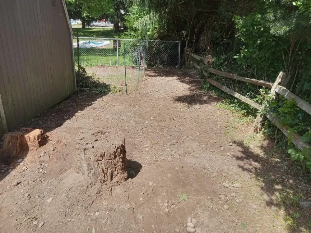 Top-rated outdoor landscaping for beautiful yards in Mishawaka, IN by Two Homies One Dream