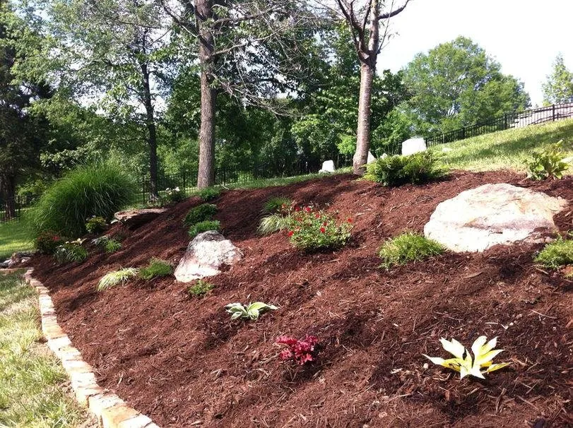 Affordable yard cleanup service in Mount Carmel, TN by Two Landscapers