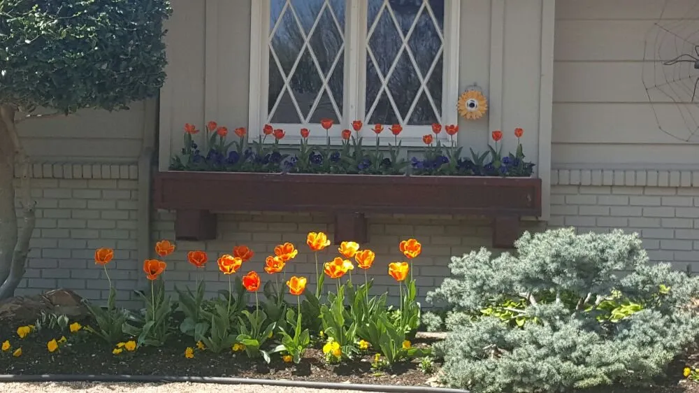 Local landscaping services in Derby, KS - Two Lawn Rangers