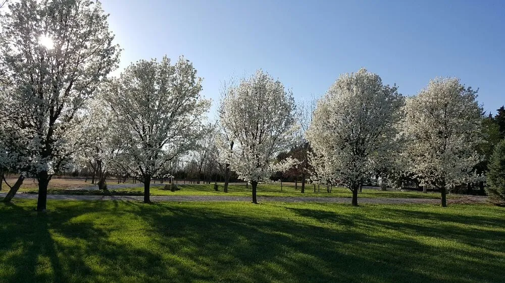 Reliable landscape installation for outdoor upgrades across Derby, KS - Two Lawn Rangers
