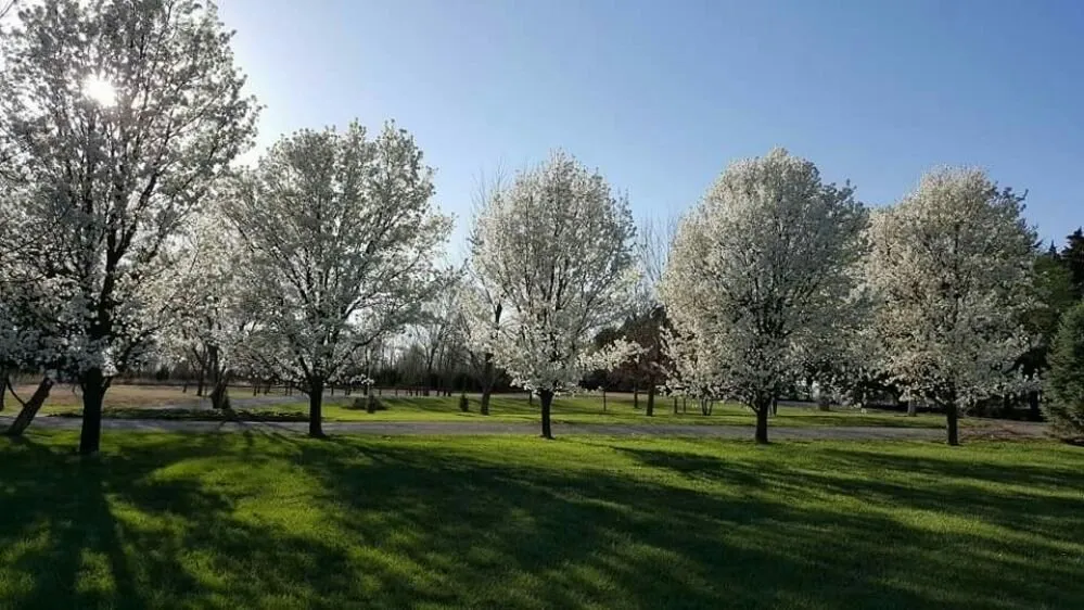 Local garden landscaping for outdoor upgrades across Derby, KS - Two Lawn Rangers