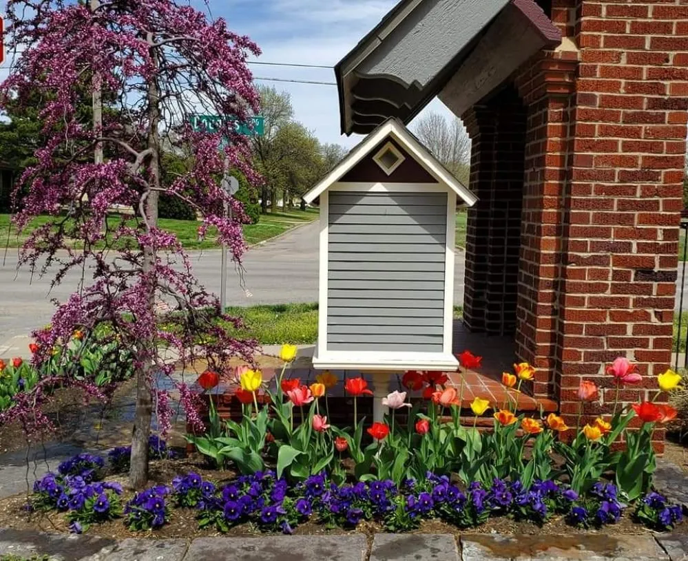 Reliable yard cleanup service in Derby, KS - Two Lawn Rangers