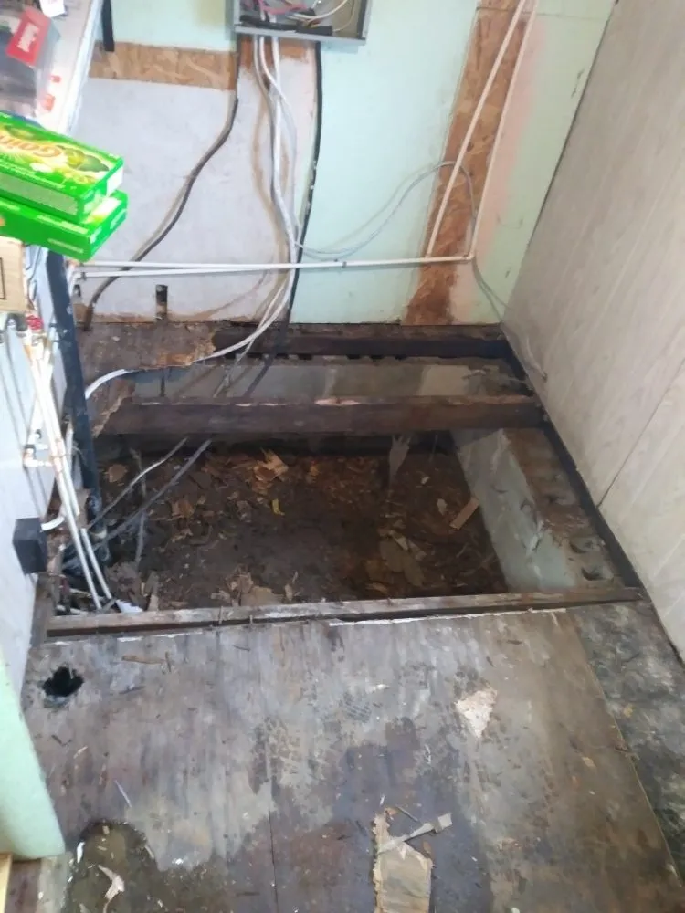 Affordable landscape design in Bicknell, IN by Two Men Crew