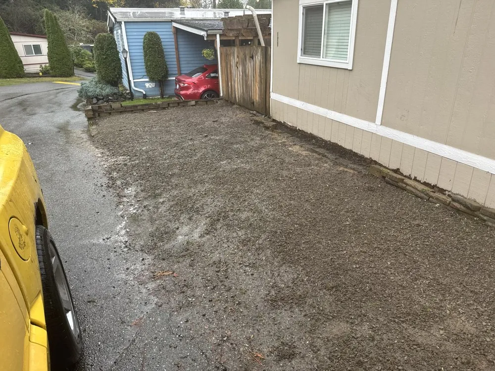 Professional yard cleanup service for outdoor upgrades across Snohomish, WA - Two monkeys