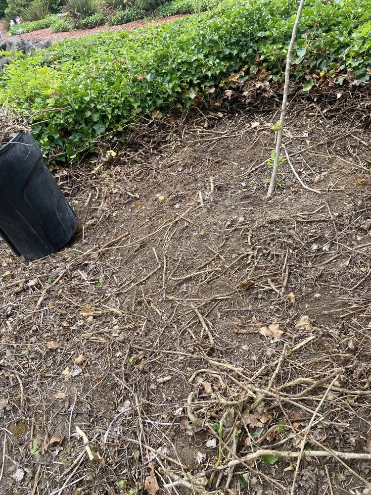 Local landscaping services experts serving Snohomish, WA - Two monkeys