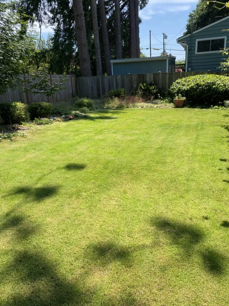 Reliable landscape installation for outdoor upgrades across Snohomish, WA - Two monkeys