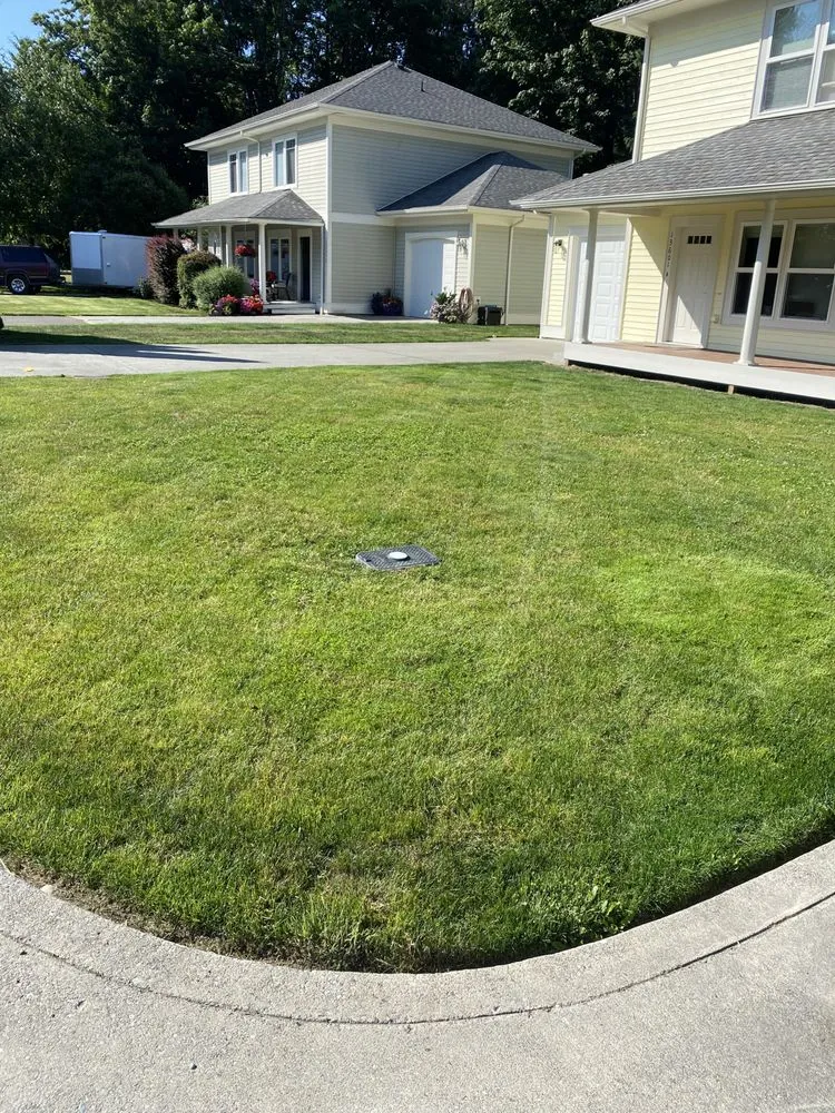 Professional lawn mowing service in Snohomish, WA by Two monkeys